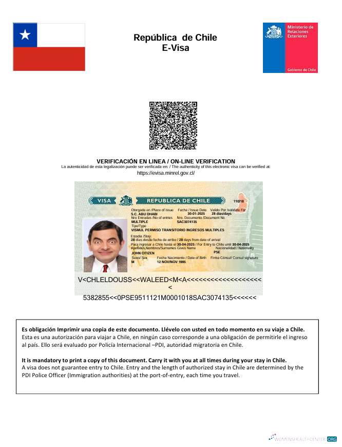 Download Chile e visa template in Word and PDF formats Photoshop template